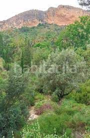 Foto a724ddfa-d575-4c02-a623-ee6e72c30645. Terreno residenziale in Gea y Truyols Murcia