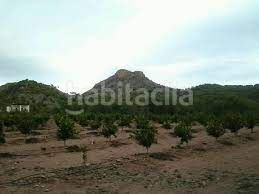 Foto e11403f1-0052-470c-97a1-a46c3eeb73ca. Terreno residenziale in Gea y Truyols Murcia