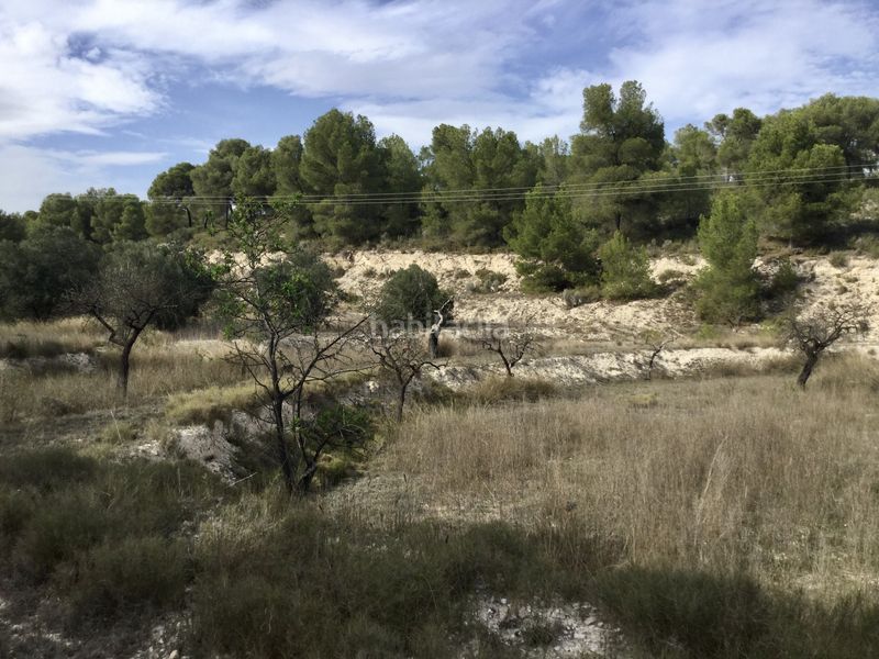 Foto 17b75840-c4a4-4abb-80b8-6c919c850f7a. Finca rústica a partida torrosellas 114 a Tibi