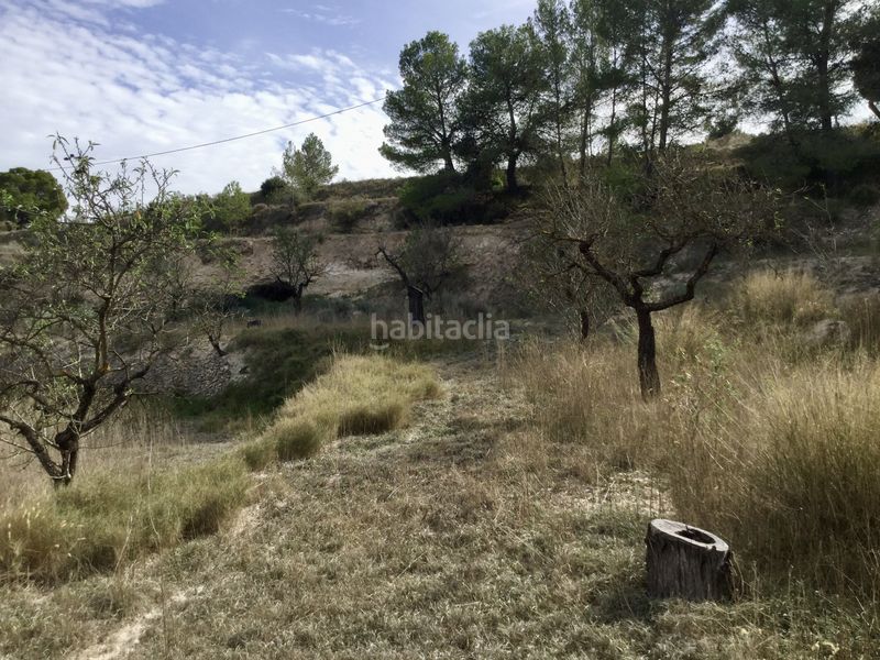 Foto 6febb1b6-4c37-4d64-ad1e-3005043a59db. Finca rústica a partida torrosellas 114 a Tibi