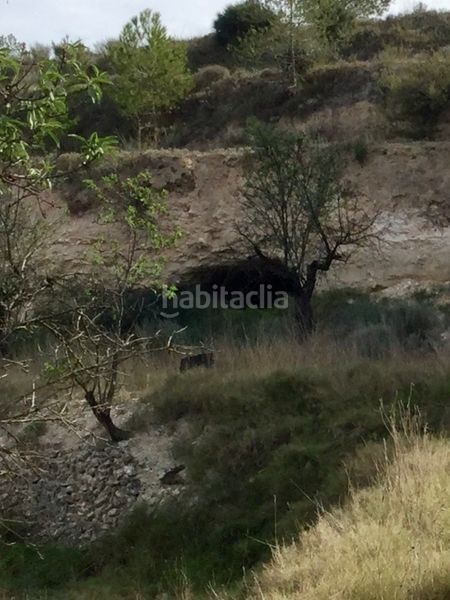 Foto 738908bc-088c-4114-a812-9c591a7ac742. Finca rústica a partida torrosellas 114 a Tibi