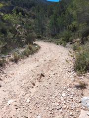 Finca rústica  Urbanización maigmó. Parcela rustica en el corazon del ronesa
