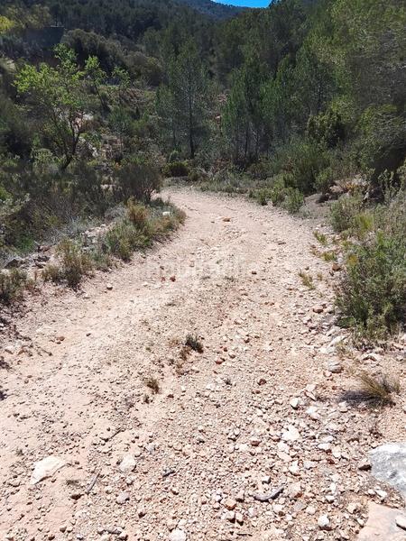 Foto 6d081568-85ef-484b-855e-be7a7bbd2356. Rural plot in Tibi