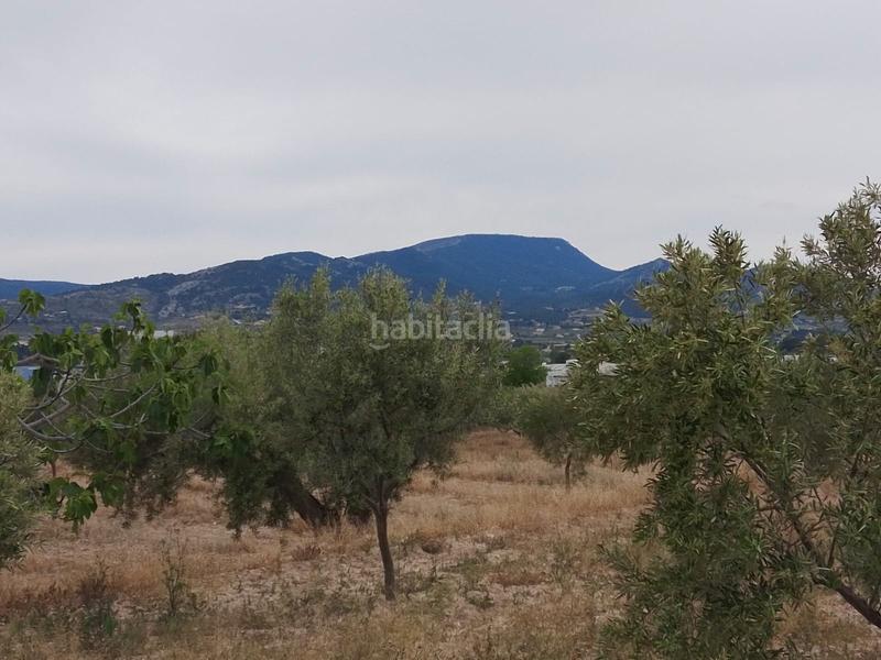 Foto 80d02ef2-3dde-46e8-961d-f58a4a4c1883. Mas dans Castalla