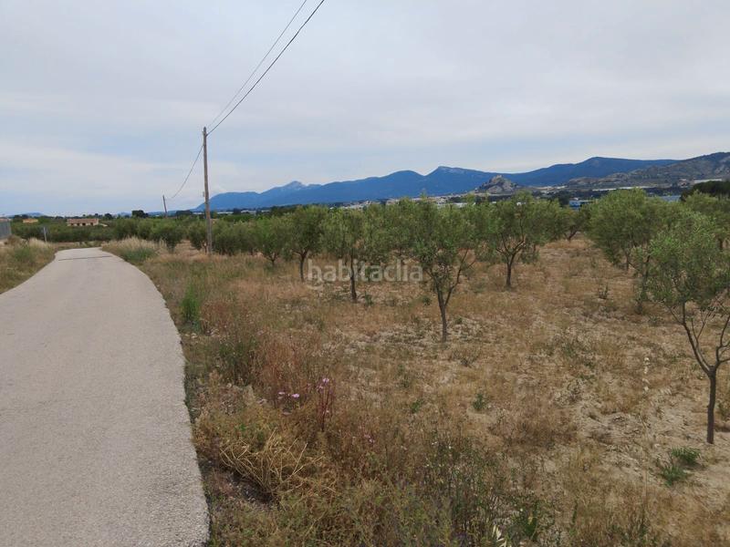 Foto d8d55219-8172-4311-a957-748f5074e1b0. Mas dans Castalla