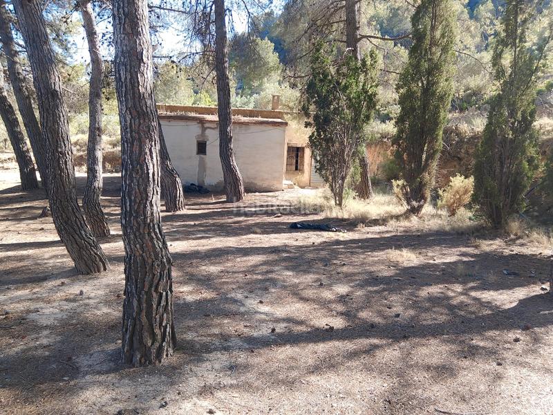 Foto 0ca2469f-ae39-42fd-a08e-49c5302786e6. Finca rústica venta de casa rustica en paraje natural en Onil