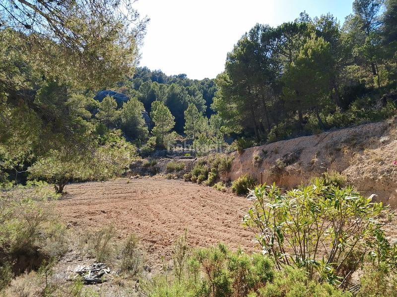 Foto 0d60e5b1-1d94-4e7d-abbf-9c0426eb518d. Finca rústica venta de casa rustica en paraje natural en Onil