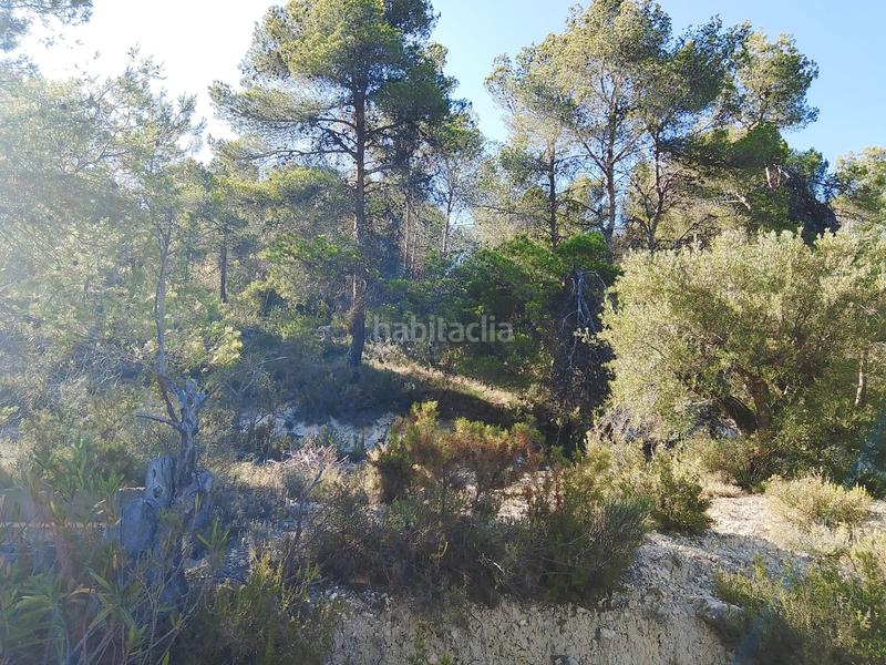 Foto 1008980d-2a3a-4e3d-97bc-b63b913b0679. Finca rústica venta de casa rustica en paraje natural en Onil