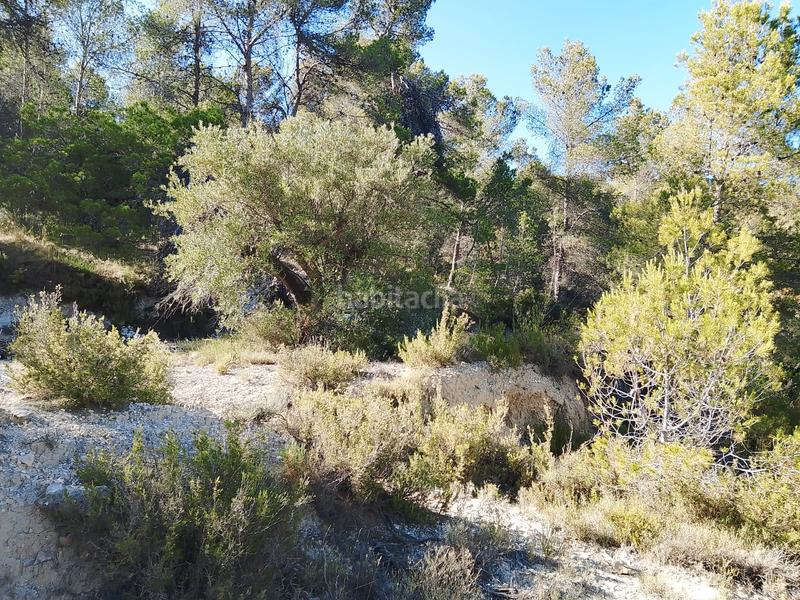 Foto 219b6a46-e1c0-4a47-980f-cb77d732d12b. Finca rústica venta de casa rustica en paraje natural en Onil