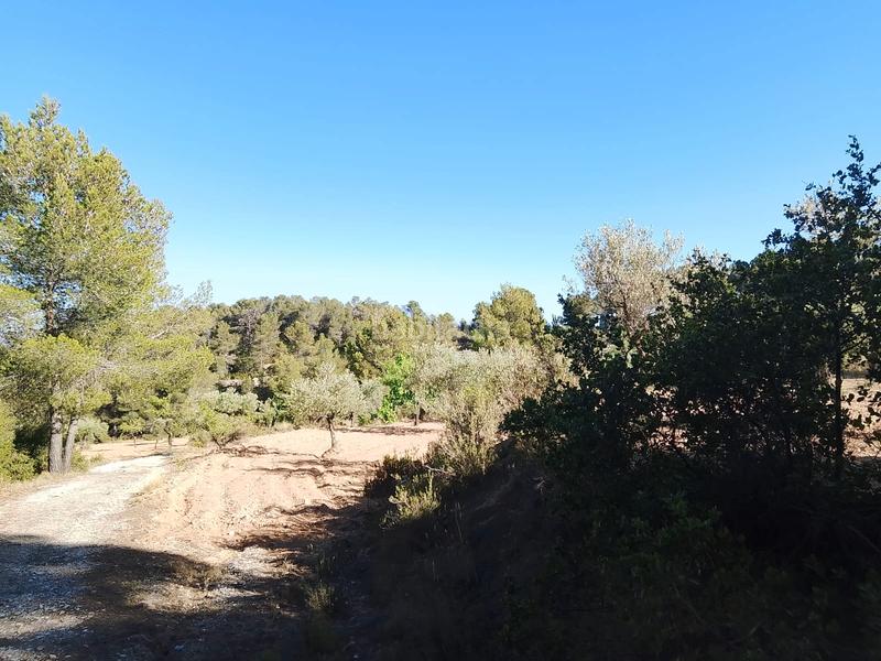 Foto 4a474c78-2a1c-468f-b867-e7a6fae1edea. Finca rústica venta de casa rustica en paraje natural en Onil