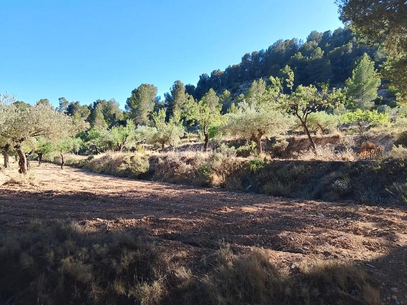 Foto 505154c5-e737-433f-950e-66124d122f35. Finca rústica venta de casa rustica en paraje natural en Onil