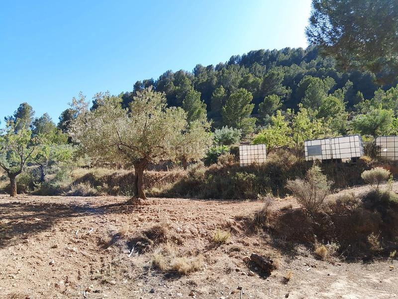 Foto 63d76d88-fa98-423d-aeb2-23e6dda4b7bd. Finca rústica venta de casa rustica en paraje natural en Onil