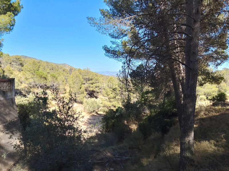 Foto 7bd47a0d-b30d-41bb-b327-5fc30268f840. Finca rústica venta de casa rustica en paraje natural en Onil