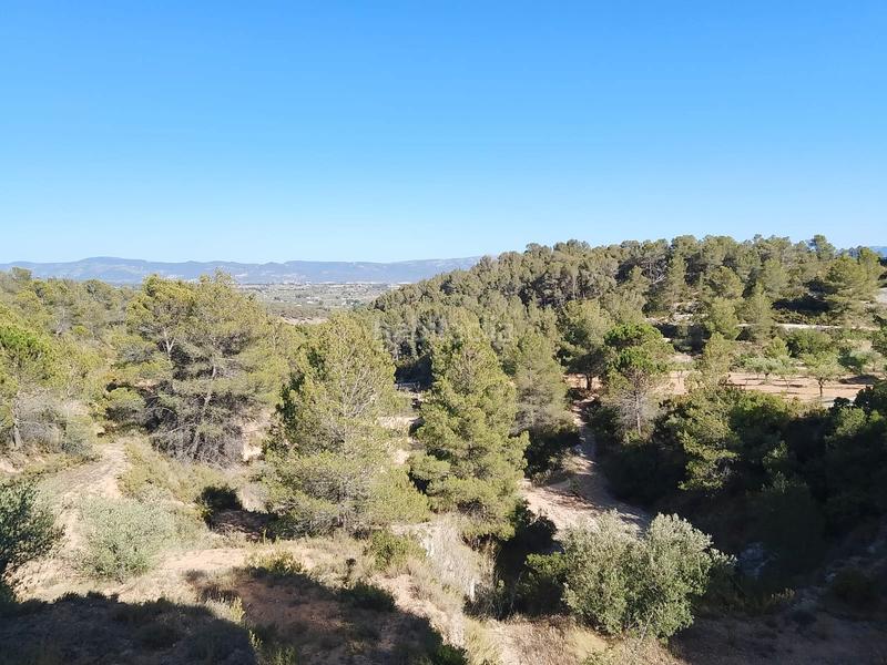 Foto 7cd4f1b7-b997-4bcc-9319-af1a151b47f5. Finca rústica venta de casa rustica en paraje natural en Onil