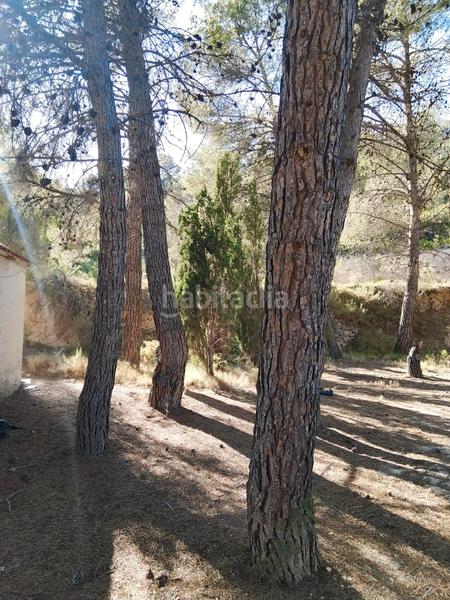 Foto 91e1f055-9cfe-4841-a20e-4d044d399ef0. Finca rústica venta de casa rustica en paraje natural en Onil