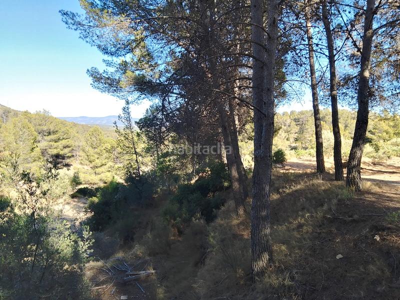 Foto a572861b-50ee-4f8f-a6ad-02c178f5824e. Finca rústica venta de casa rustica en paraje natural en Onil