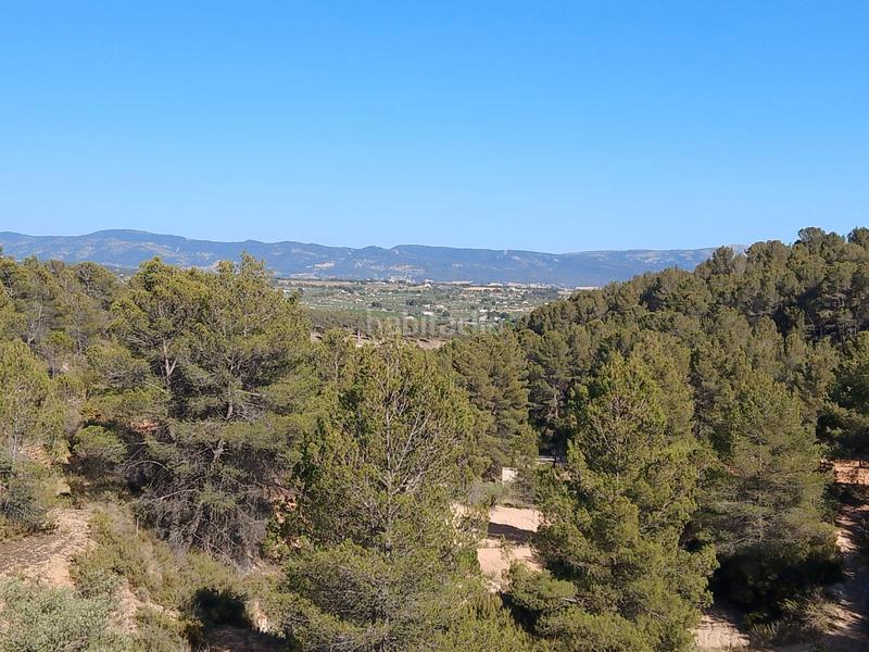 Foto b360aa0b-1c4e-4e4d-a0bd-e1b28c90dc6f. Finca rústica venta de casa rustica en paraje natural en Onil