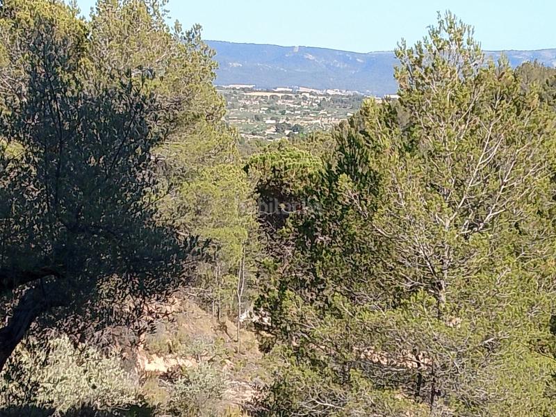 Foto ca3a6d7f-7c04-49ef-93ae-d11554eec2ca. Finca rústica venta de casa rustica en paraje natural en Onil