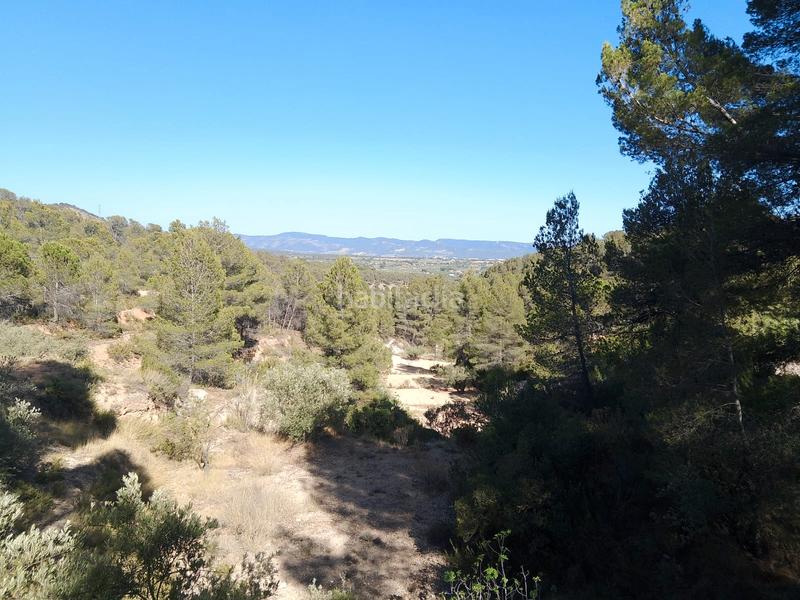 Foto dfb243a6-74f4-4471-a17f-74e2241a5e5a. Finca rústica venta de casa rustica en paraje natural en Onil