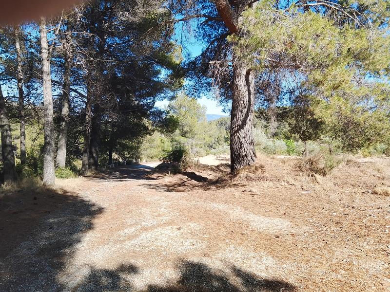 Foto ef6fa24a-3fe2-47a8-a1b3-09852be807f1. Finca rústica venta de casa rustica en paraje natural en Onil