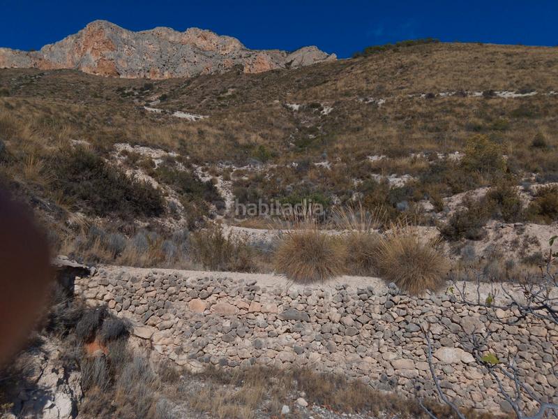 Foto 173a47a7-9e0c-4745-bcc9-74fc189e1efe. Finca rústica a avinguda les llometes 30a a Tibi