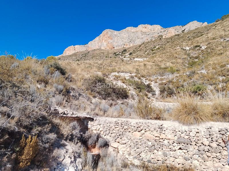 Foto 2042548a-5059-4cd4-9fe7-66fa7dfe67ed. Finca rústica a avinguda les llometes 30a a Tibi