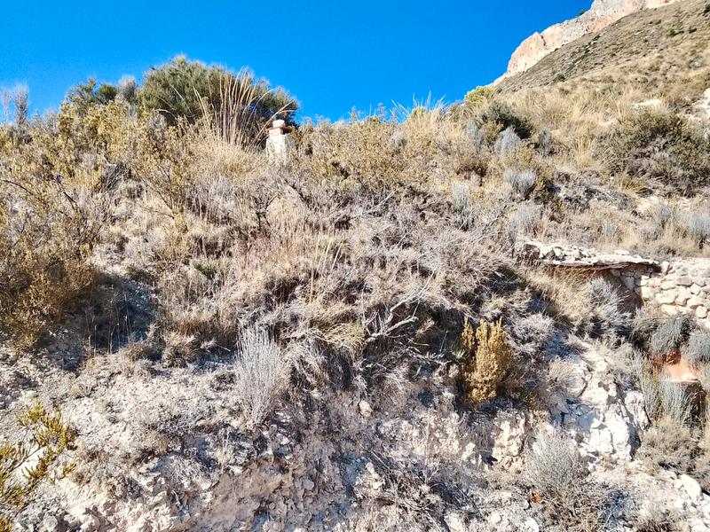 Foto 24416c89-04ee-449a-96fa-8133af9917fd. Finca rústica a avinguda les llometes 30a a Tibi