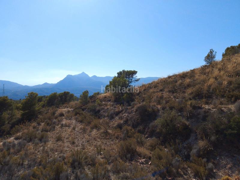 Foto 8b96690e-27d5-464a-8fa7-4bb5c7efbd73. Finca rústica a avinguda les llometes 30a a Tibi