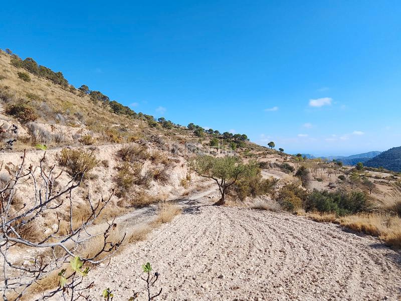 Foto b5787974-bb94-462f-8496-f0dd5f8dcb34. Finca rústica a avinguda les llometes 30a a Tibi