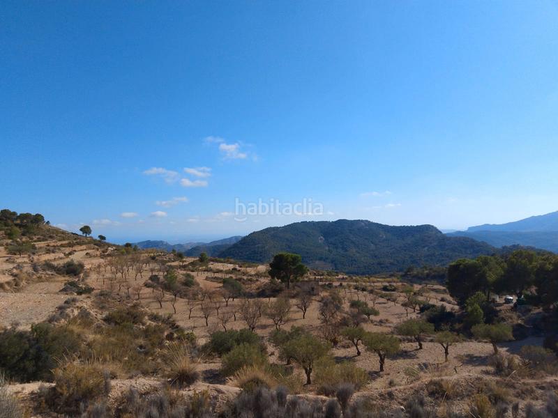 Foto dba0b37b-1e65-4d5d-86ca-fffe75f516f5. Finca rústica a avinguda les llometes 30a a Tibi