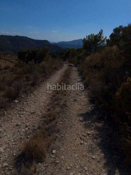 Foto dca04a8b-1ec9-4908-92e0-b1d602c8a80a. Finca rústica a avinguda les llometes 30a a Tibi