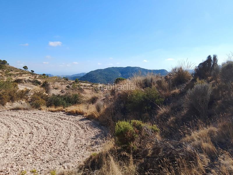 Foto fe5da67f-1499-41ff-a608-ddcb83a19873. Finca rústica a avinguda les llometes 30a a Tibi