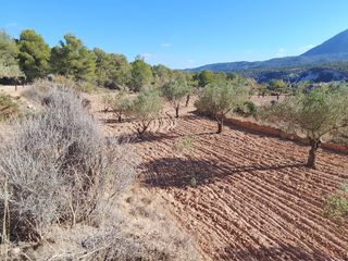 Finca r�stica en N/a. Venta de finca rustica para construir una vivienda unifamiliar u