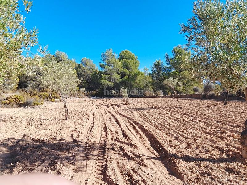 Foto 11b2bc46-1730-49b3-9462-ceb992f838f4. Propriété dans n/a dans Tibi