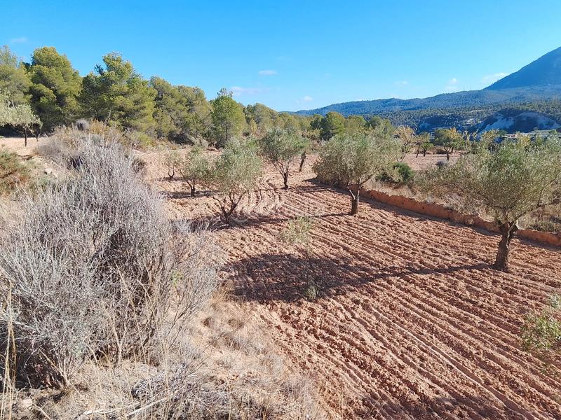 Foto 201ef67b-c70e-4b2f-8cf7-0ad091f756b5. Propriété dans n/a dans Tibi