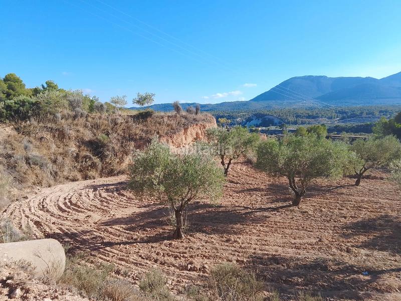 Foto 20d15996-fed8-41d3-aa30-fd71a725c083. Propriété dans n/a dans Tibi