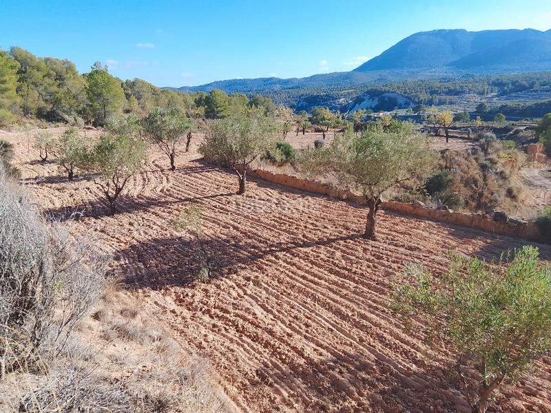 Foto 26f8f185-d002-49a8-a3d2-755f944fbbef. Propriété dans n/a dans Tibi