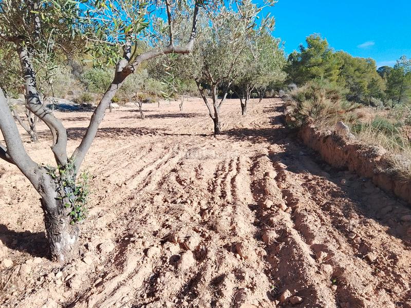 Foto 4701d850-fac2-4bb1-9a7f-d8c330ddba28. Propriété dans n/a dans Tibi