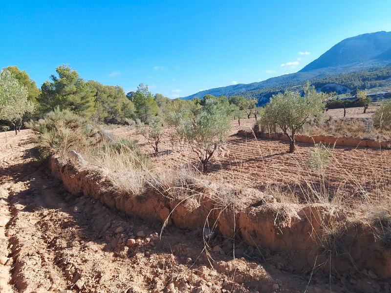 Foto 66678a28-1d23-47ec-9c34-3c49b6d1600e. Propriété dans n/a dans Tibi