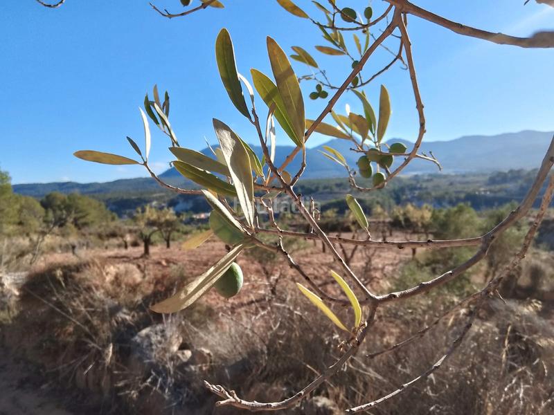 Foto 8453f81e-725b-4a21-9647-d11aba5c5083. Propriété dans n/a dans Tibi