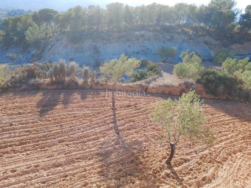 Foto 9307049b-2eaa-41af-a15a-e0365bb98c4a. Propriété dans n/a dans Tibi