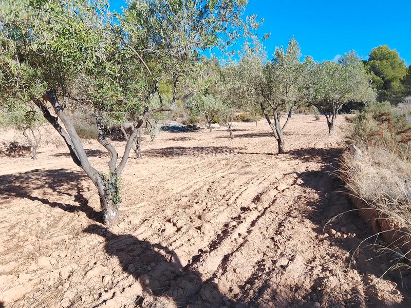 Foto 93de1b5d-9212-4348-a24c-dd0ab5df8a42. Propriété dans n/a dans Tibi