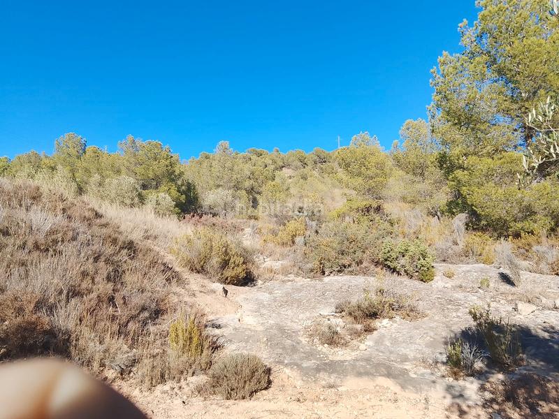 Foto 947aed90-cafe-4e50-8cdf-42226baab30b. Propriété dans n/a dans Tibi