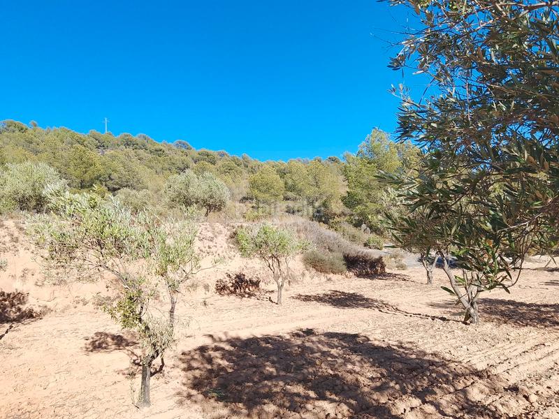 Foto 9e43de0d-a697-4293-8ebe-f7c3f1457e69. Propriété dans n/a dans Tibi