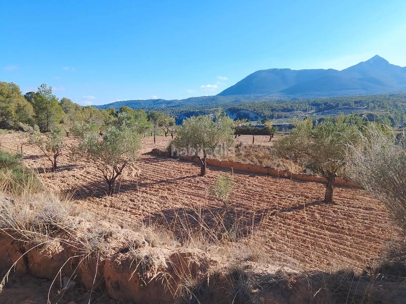 Foto a2964e22-5c11-4994-bbd6-c8ccfb722f51. Propriété dans n/a dans Tibi