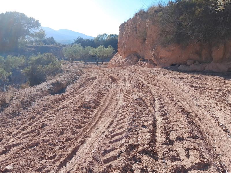 Foto b5783b43-4cab-43cc-ac7f-7eb1eea4974d. Propriété dans n/a dans Tibi