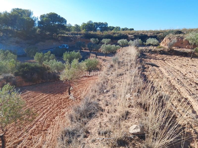 Foto ba800a85-d1fd-49d8-8804-4efc6c7edb20. Propriété dans n/a dans Tibi