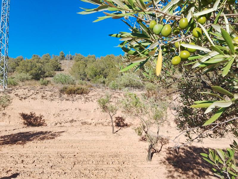 Foto bcd6dbd0-855d-47f2-8e3a-2253d65a2c0a. Propriété dans n/a dans Tibi