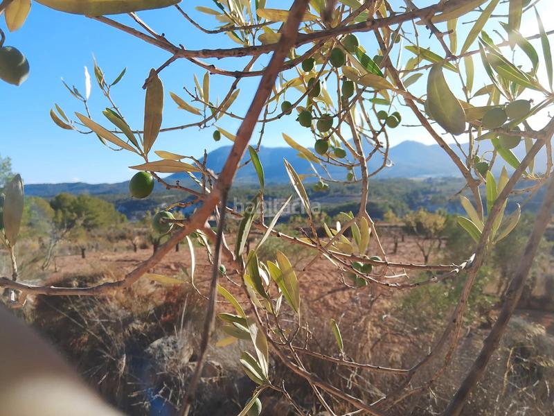 Foto bd771278-0e57-4021-adc0-101f299b3344. Propriété dans n/a dans Tibi