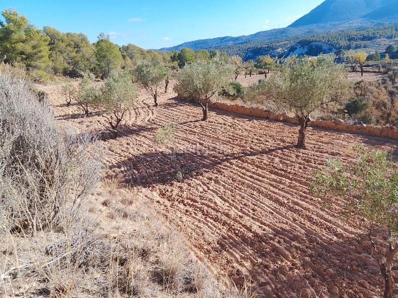 Foto d1e12768-69d1-4774-b0d0-6d70ee07cc82. Propriété dans n/a dans Tibi